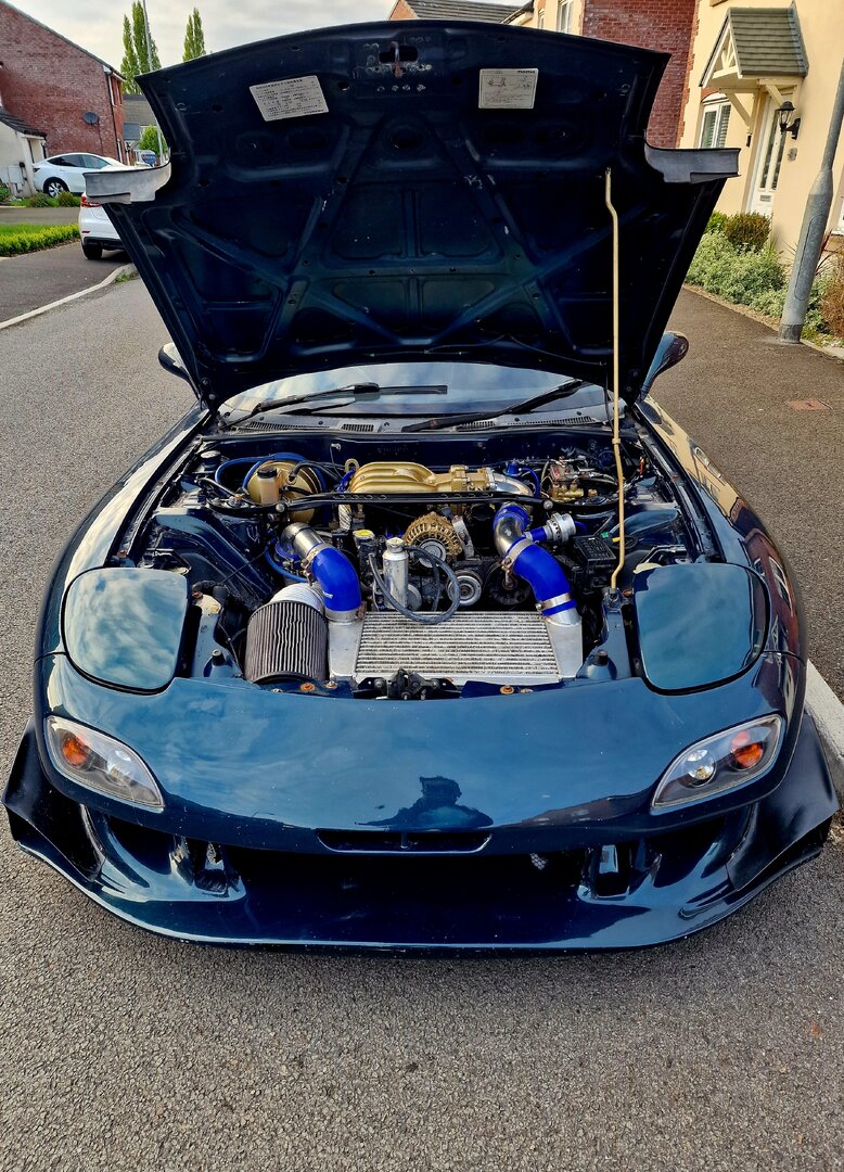 20250426_191326.jpg