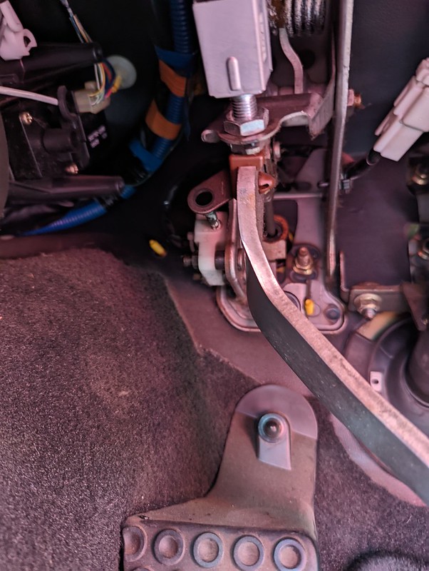 52015772031_dbce20519b_c.jpg