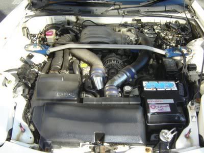 544379_3282285330528_1410697498_n.JPG