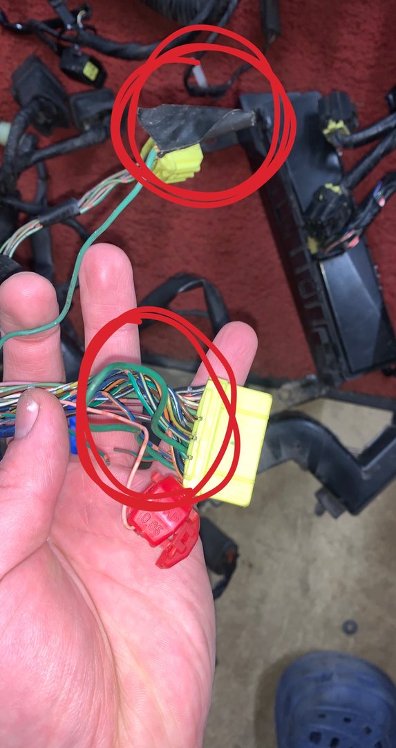 ECU Plugs | FD Owners Club - FDOC