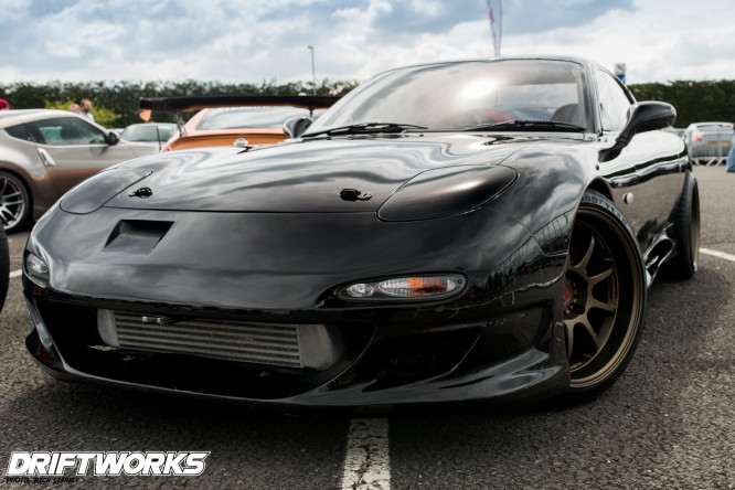 DSC3273-666x444.jpg