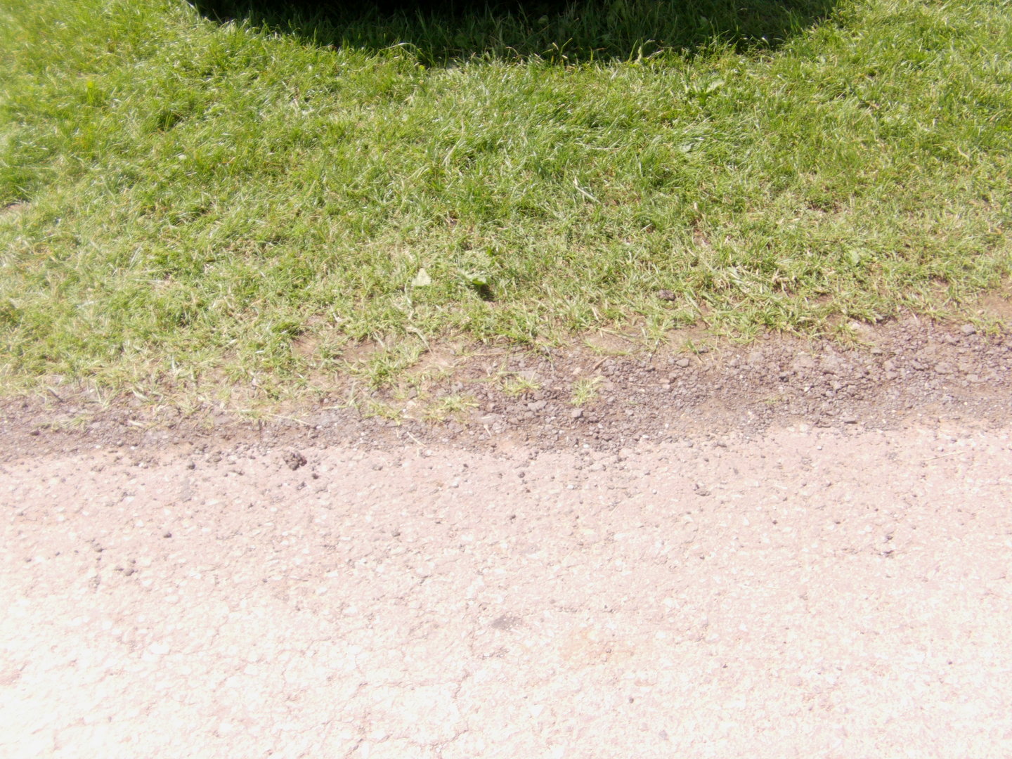 IMAG0182.JPG