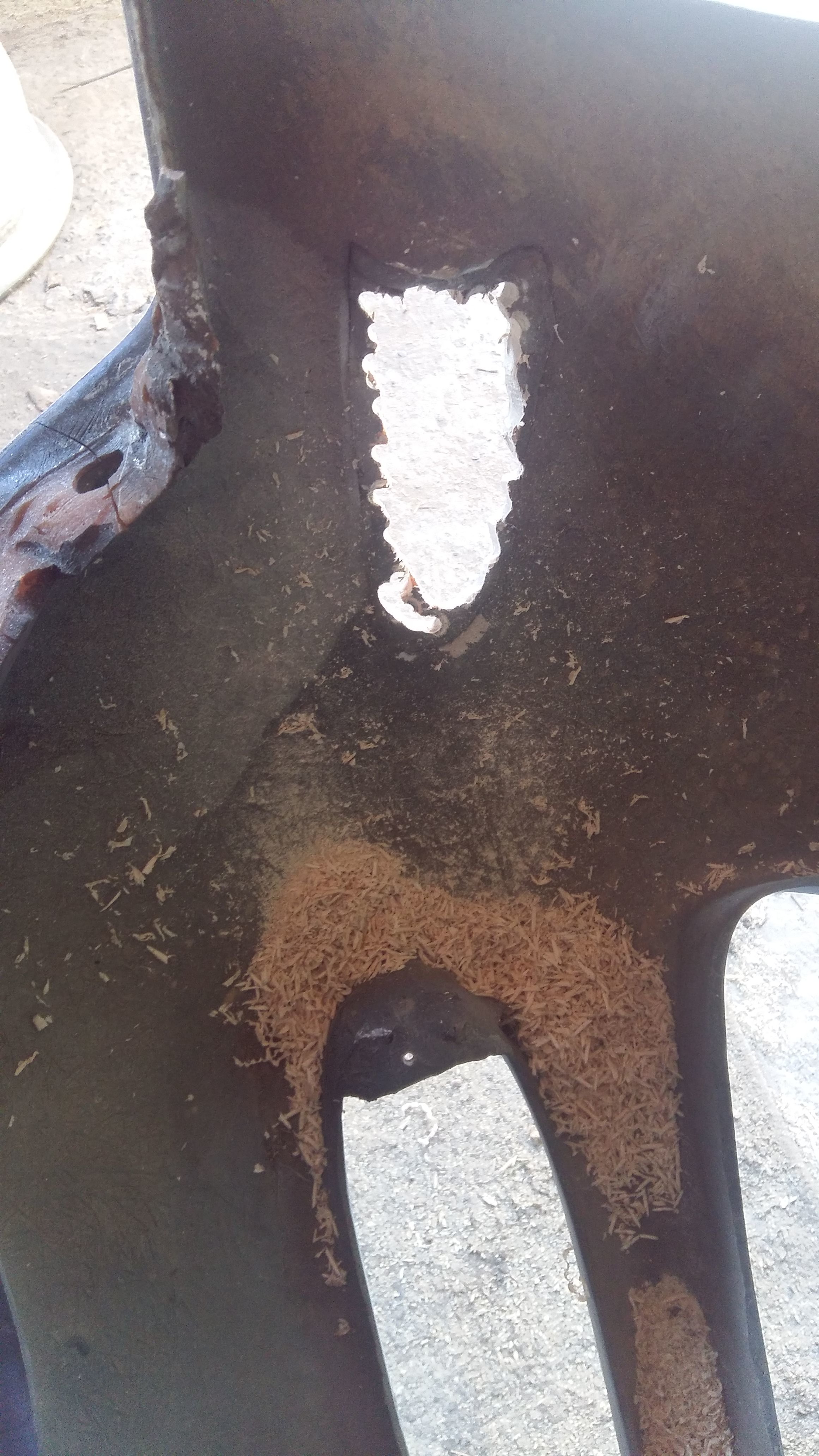 IMG-20180421-WA0011.jpeg