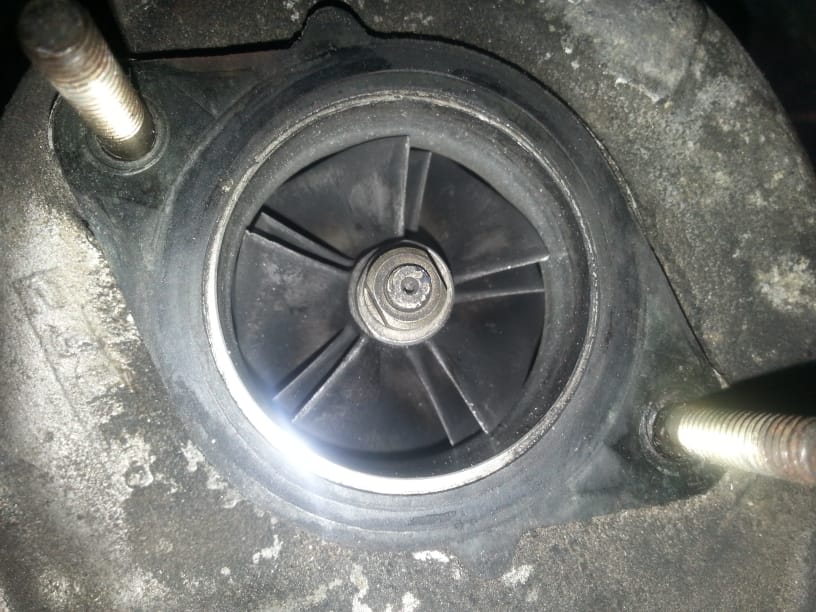 IMG-20190819-WA0015.jpg