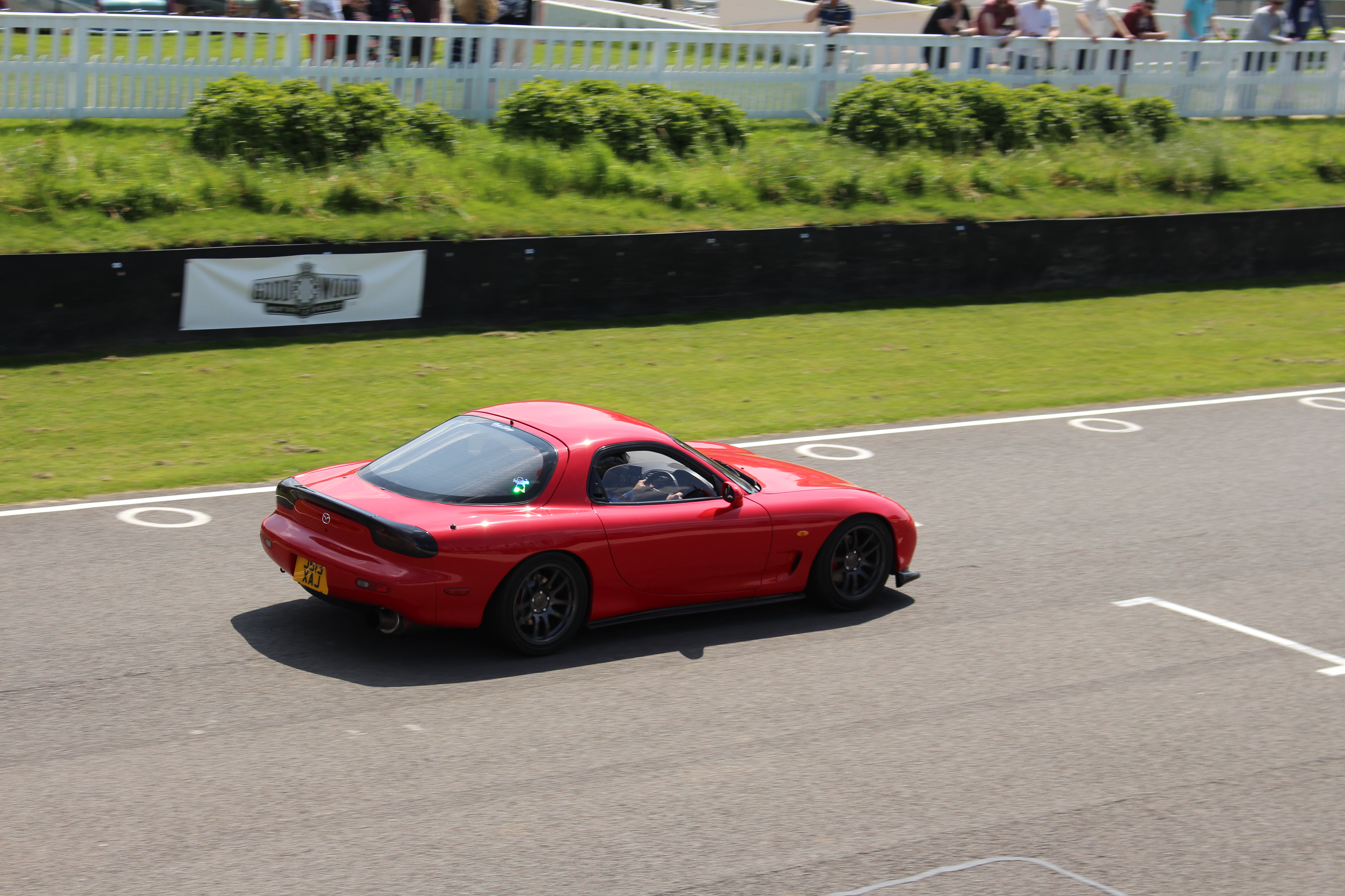 IMG_4398.JPG