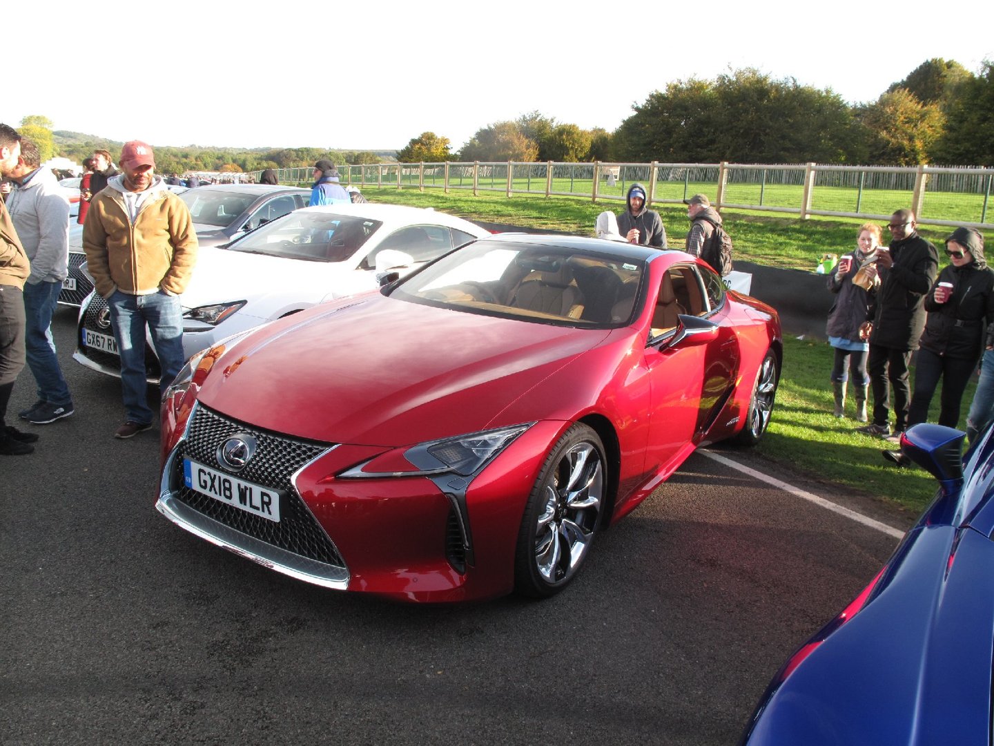 jdm2.jpg