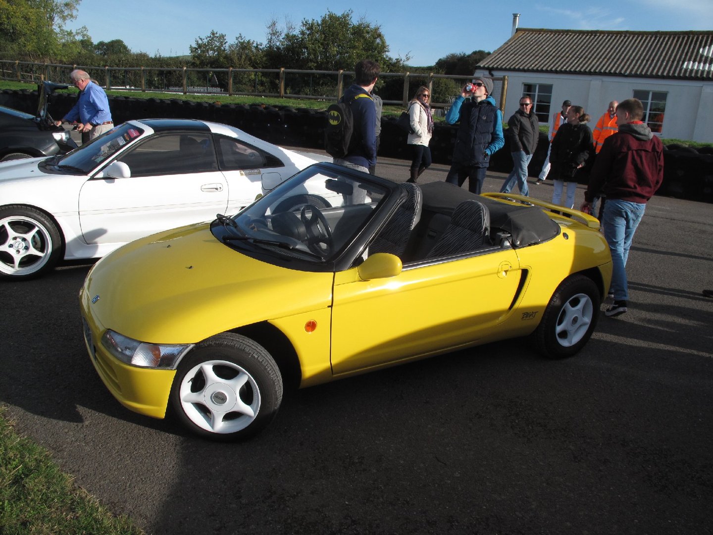 jdm6.jpg