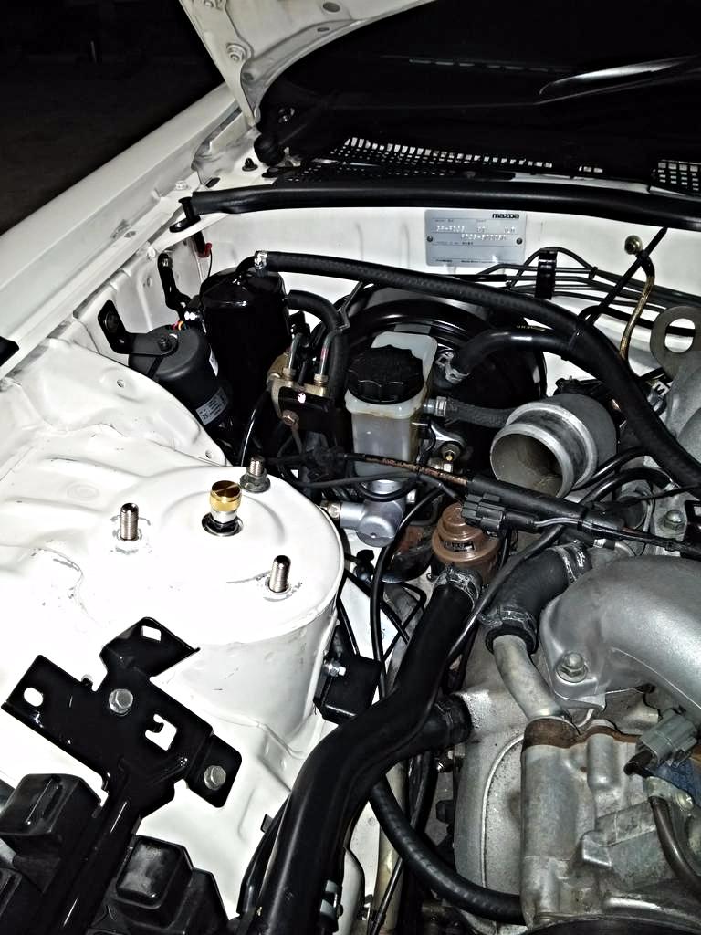 SdW51sd.jpg