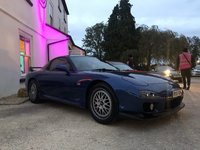 IMG_7243.JPEG