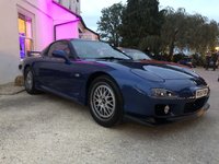 IMG_7252.JPEG