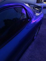 IMG_7267.JPEG