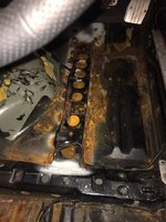 e5046a5c-13da-4ee2-89d6-36677ad125ba.jpg