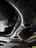 IMG_5390.jpeg IMG_5390.jpeg