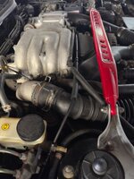 IMG_5969.jpeg