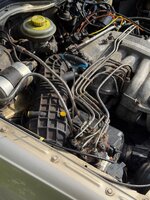 IMG_5907.jpeg