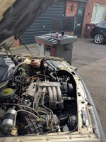 IMG_5904.jpeg